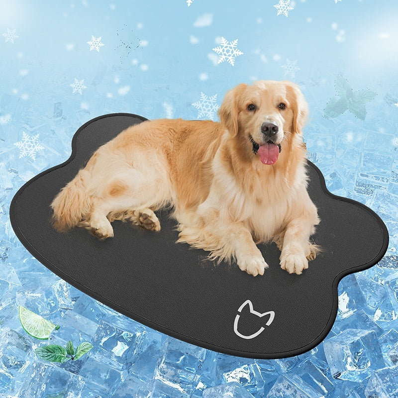 Keep Your Dog Cool & Comfortable All Summer