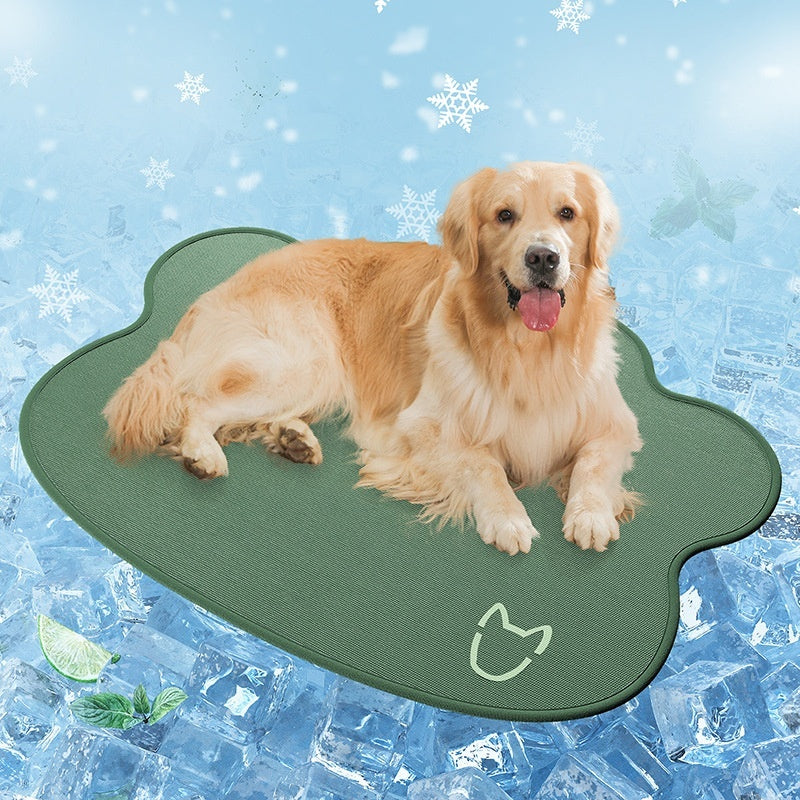 Keep Your Dog Cool & Comfortable All Summer