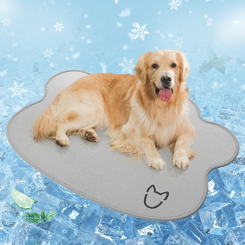 Keep Your Dog Cool & Comfortable All Summer