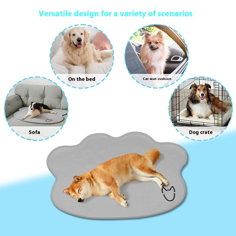 Keep Your Dog Cool & Comfortable All Summer
