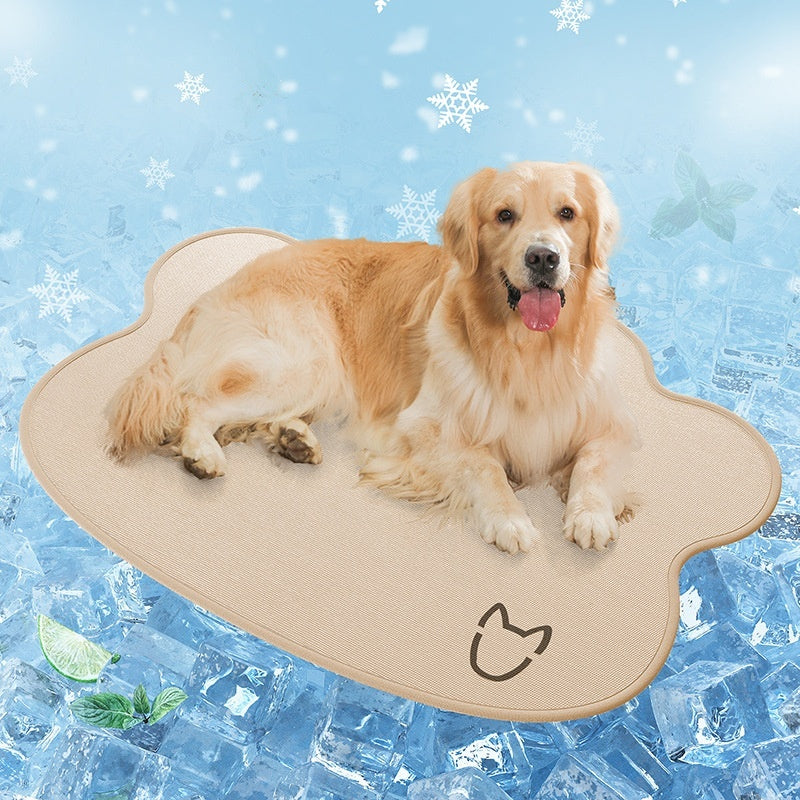 Keep Your Dog Cool & Comfortable All Summer